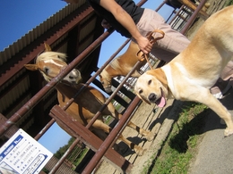 那須動物王国