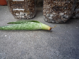 あ2