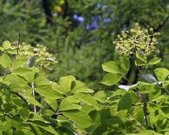 �������֥�2