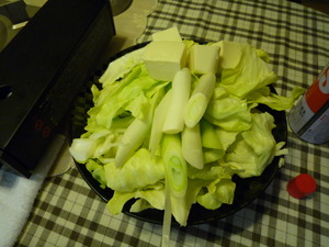 P1050349