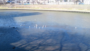 2011032615360000