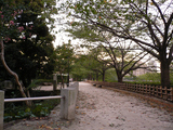 遊歩道1