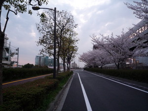 西へ側道
