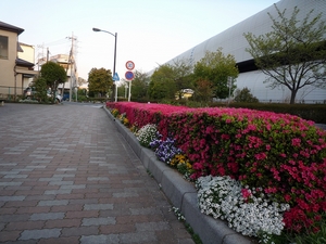 P1030068