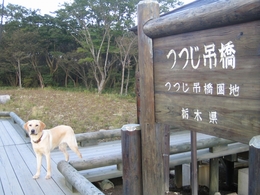 つつじ橋