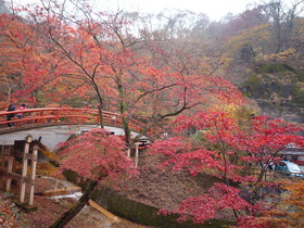 河鹿橋