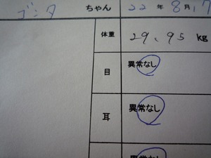 P1030547