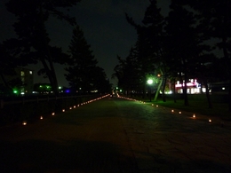 遊歩道1