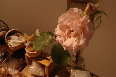 IMGP6367