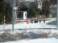 DSCF0655