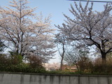 CIMG0353