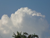 CIMG0986