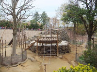DSCF0548