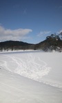 a68a45d2.jpg