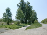 CIMG0477