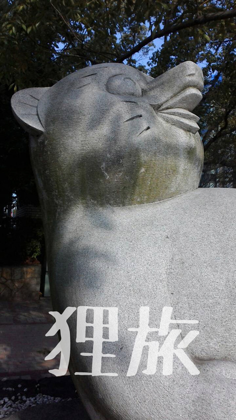 E1457526132509