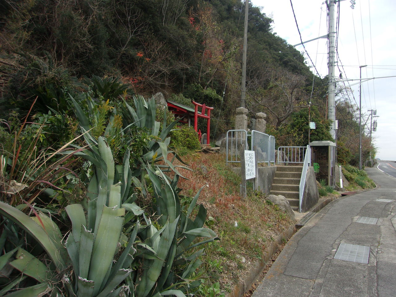 狸旅記録 たぬたび