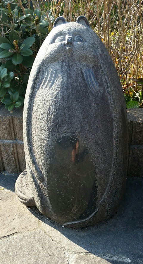 IMG_20180329_125403_450