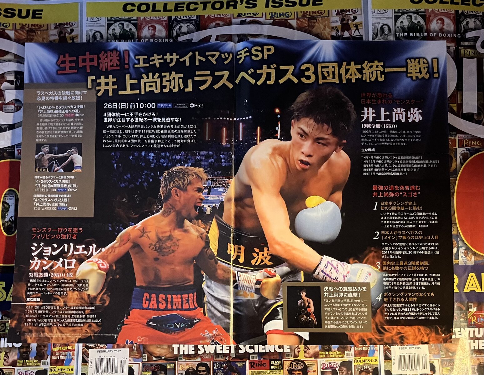 UNDISPUTED”ホリフィールドvsルイス 3団体統一 ボクシングポスター