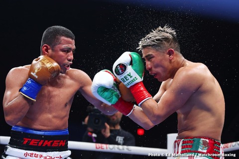 EM1_0291-Boxing-Photos-1536x1023