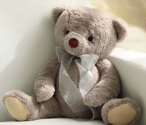 bear-img-04 2
