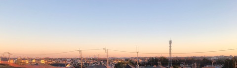 IMG_3292 (1)