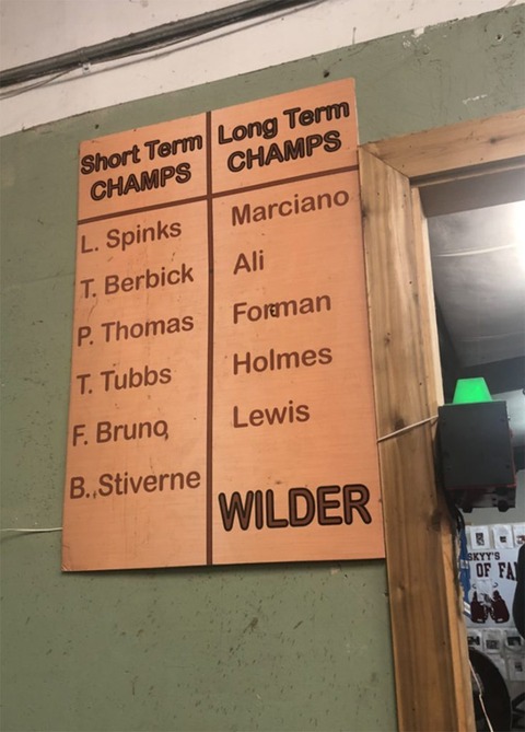 Wilder-gym-sign_brin-jonathan-butler-735x1024