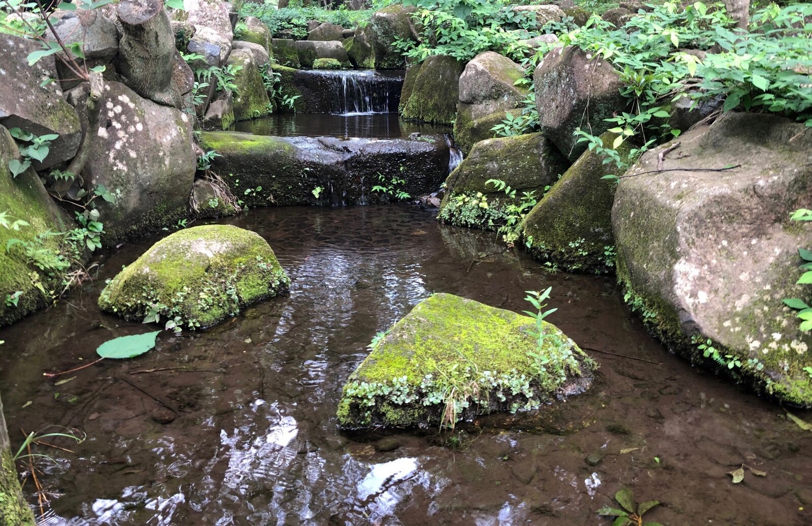 転石苔を生ぜず A Rolling Stone Gathers No Moss 頑張れ田澤 待ってるぞ フシ穴の眼 スポーツ疾風怒濤編 転石苔を生ぜず A Rolling Stone Gathers No Moss 頑張れ田澤 待ってるぞ フシ穴の眼 スポーツ疾風怒濤編