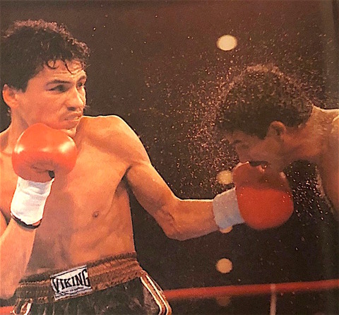 IMG_5909