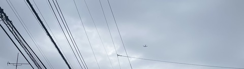 IMG_3877