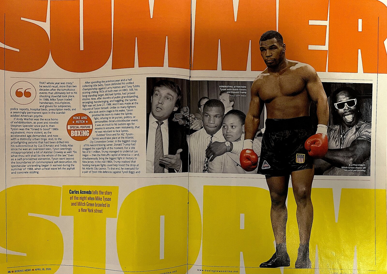 マイク・タイソン春夏秋冬⑰ SUMMER STORM : フシ穴の眼 〜スポーツ