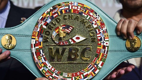 WBC-GettyImages-470558132-990x557