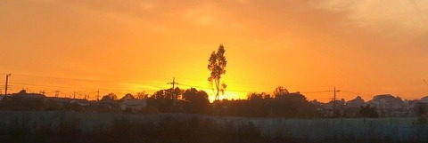 IMG_1460 5.54.09