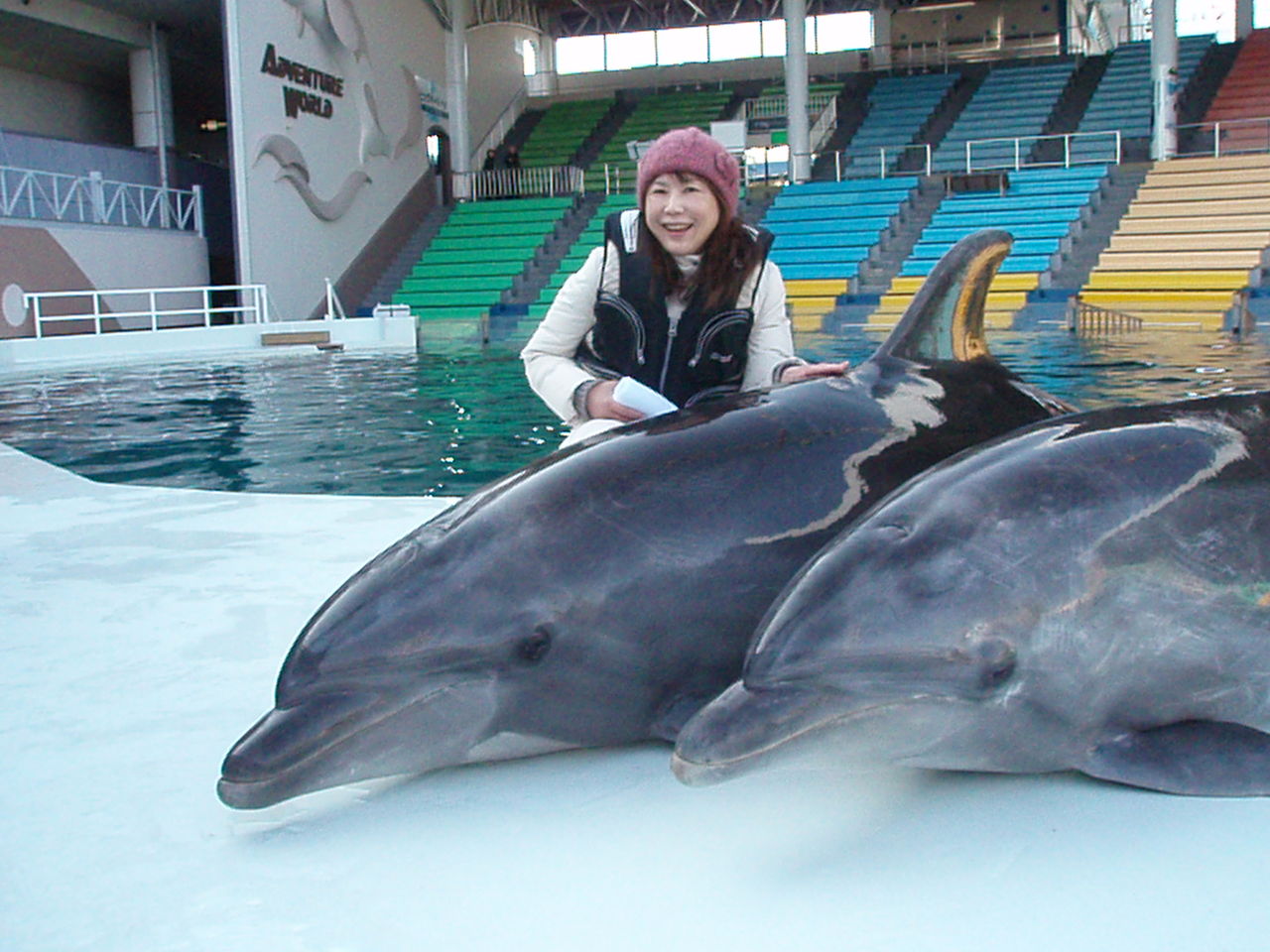 イルカともお友達に たぬきねこ日記