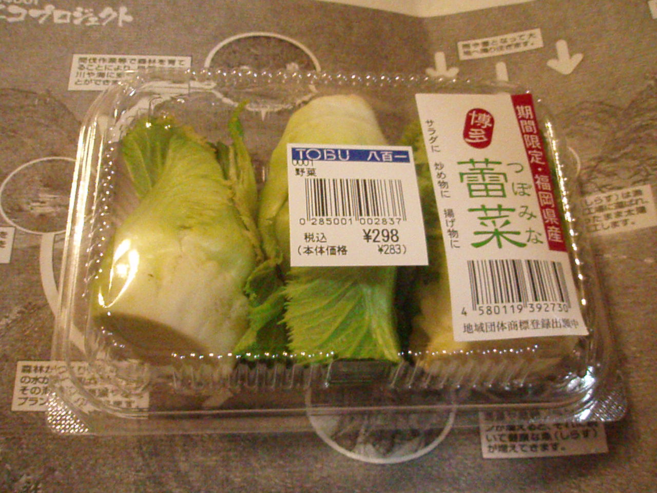 蕾菜 うるい あぎ茸 たぬきねこ日記