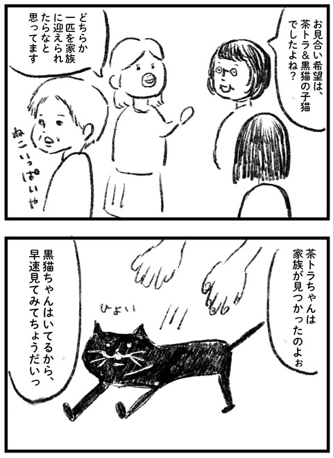 犬派がねこ⑥-3