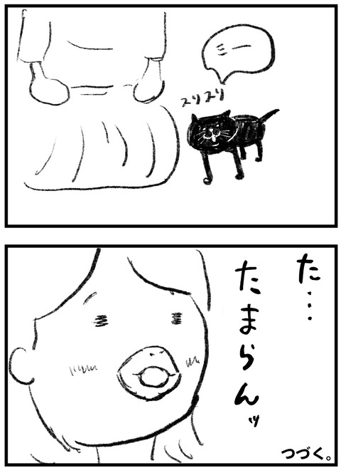 犬派がねこ⑥-4