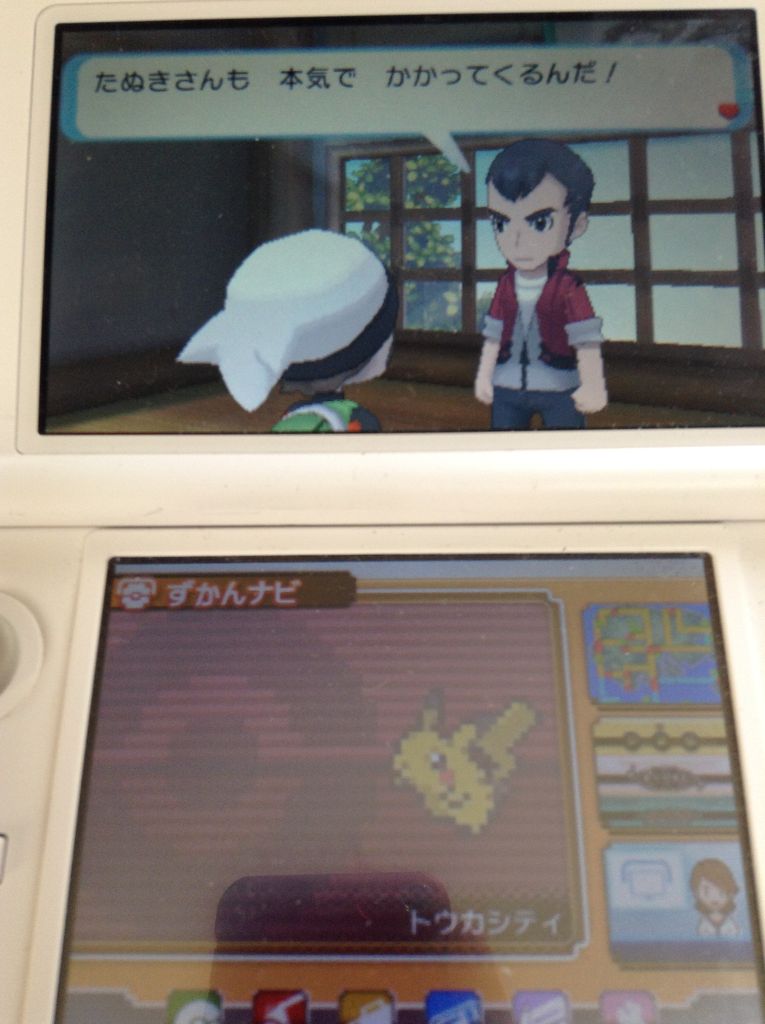 なかなか進まないポケモン 狸まみれ毛まみれ なかなか進まないポケモン 狸まみれ毛まみれ
