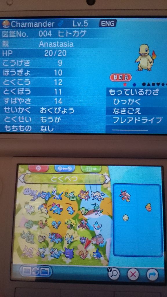 かなり久しぶりのポケモン 狸まみれ毛まみれ かなり久しぶりのポケモン 狸まみれ毛まみれ
