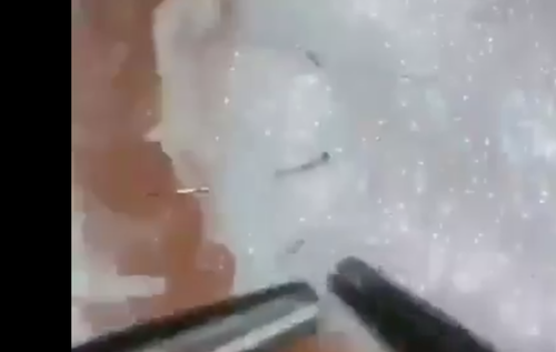 2019082004