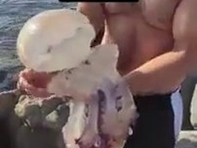 【海外の反応】素手でクラゲを抱きしめた男の末路がヤバすぎる　「自然淘汰が過ぎる」「脳細胞2つとも休憩中だったんだろ」