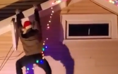 今年のクリスマスはこれできまり！家を飾るクリスマスのイルミネーション。海外の反応