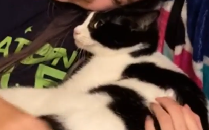 お前が好きなんだ・・・。猫が家族で一番好きな人を決めるとき。海外の反応