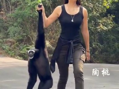 テナガザルを散歩させたら森中に響く絶叫「お母さんと買い物した記憶がよみがえった」【海外の反応】