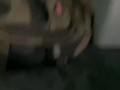 【海外の反応】テント越しに巨大な熊が迫ってきた朝の恐怖映像　「息を殺して死んだふり」「エアホーン必須」