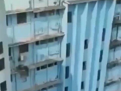 【海外の反応】高層階から落ちた猫、そのまま走り去る　「残機が1減っただけ」「脚にサスペンション入ってるだろ」