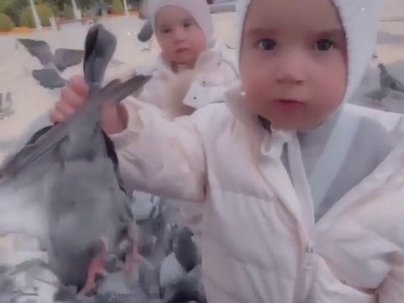 【海外の反応】幼児が広場で鳩を素手で捕まえてお母さんに差し出す動画が話題に　「今夜のディナーだ！」