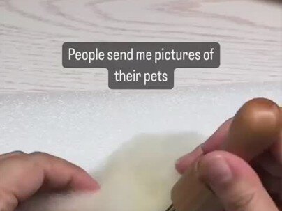 【海外の反応】羊毛フェルトのペット作品、リアルすぎて逆に怖い　「技術はすごい」「剥製っぽくてぞわっとする」