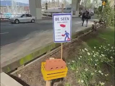 【海外の反応】横断歩道にレンガを置いたら車が止まるようになった　「アメリカだったら撃たれる」「無料レンガだ！」