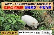 タヌキウォーカーズのブログ名刺交換